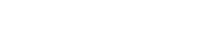 Spider Digital Group